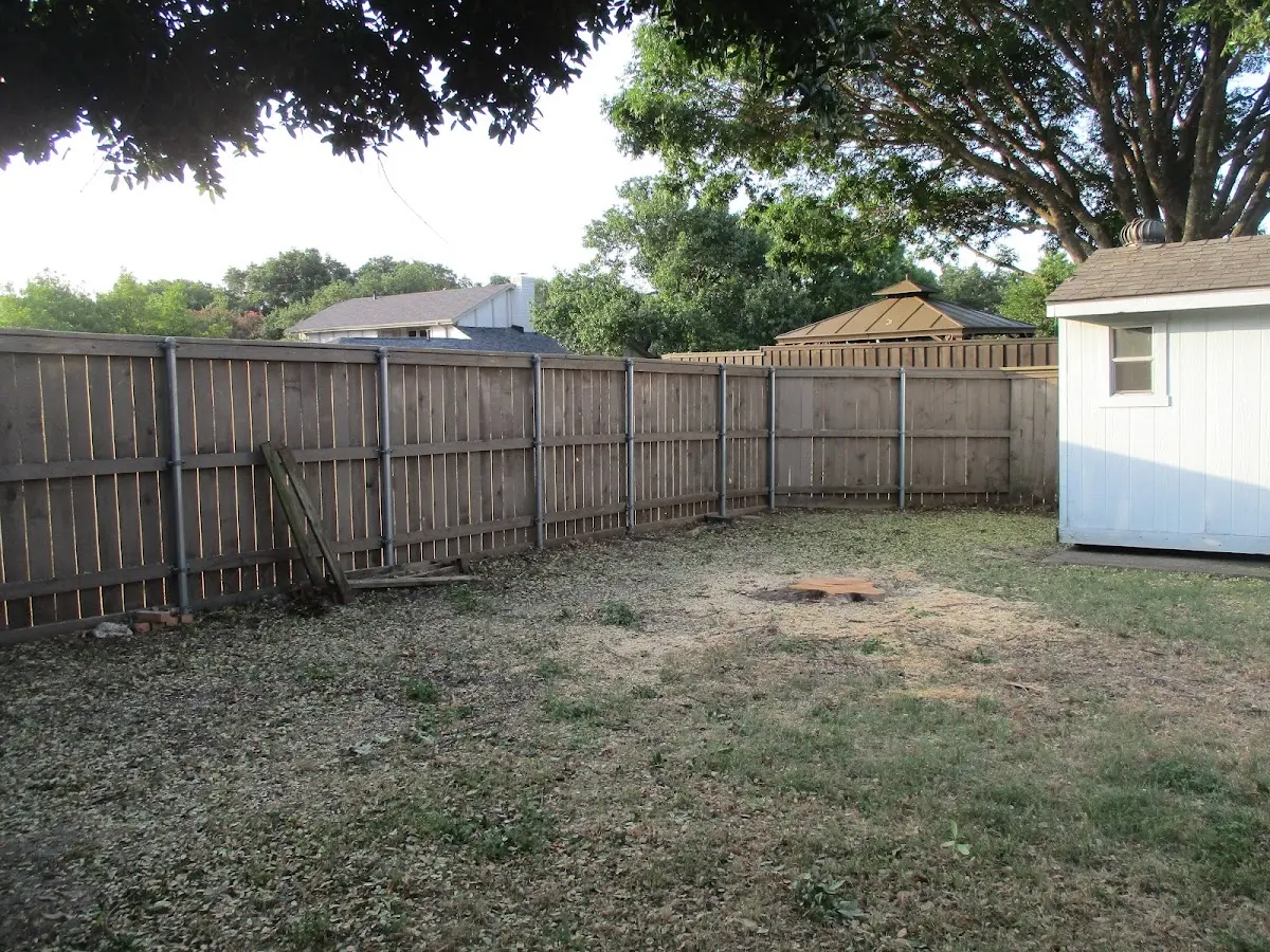 Cleared yard after professional tree removal in Peachland