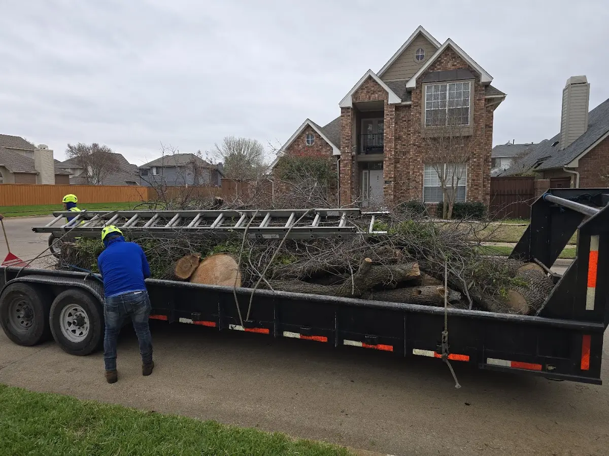 Expert Tree Pest Control with proper safety equipment in Peachland